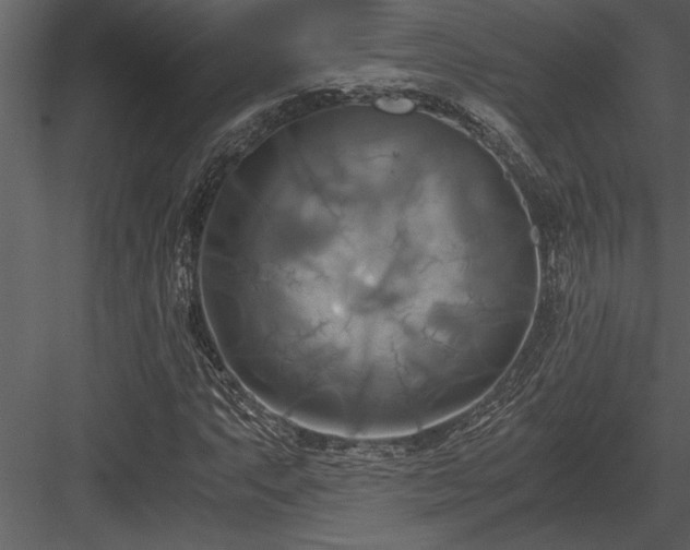 X0000084011063200702232158