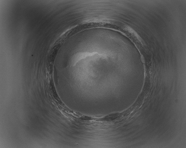 X0000084011064200702232158