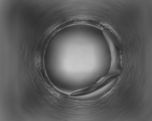 X0000084011065200702232158