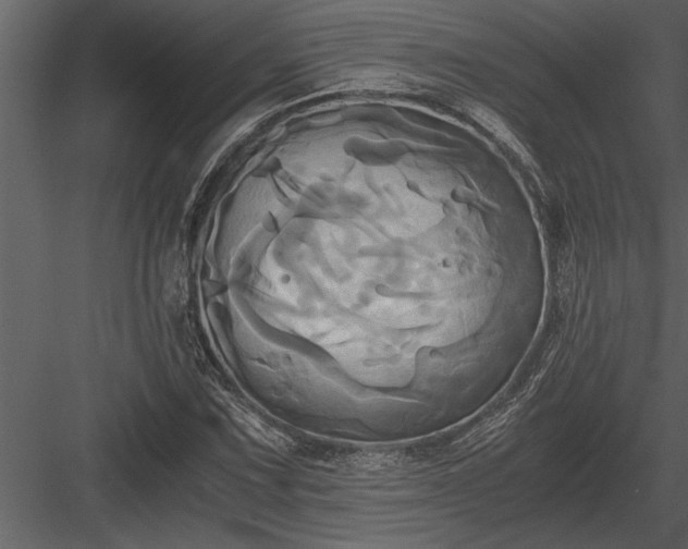 X0000084011067200702232158