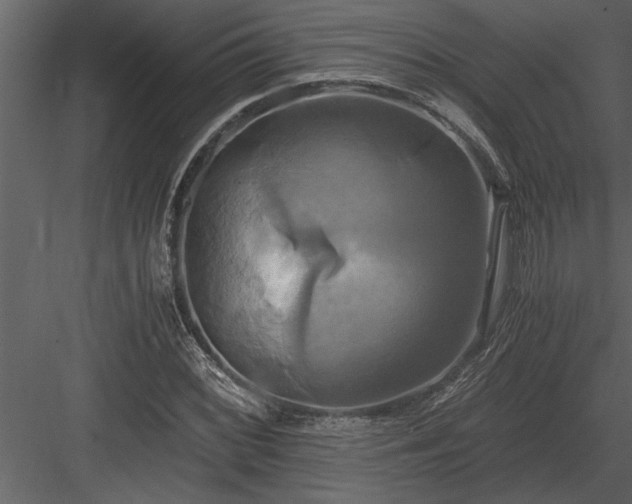 X0000084011068200702232158