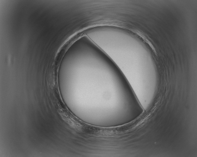 X0000084011069200702232158