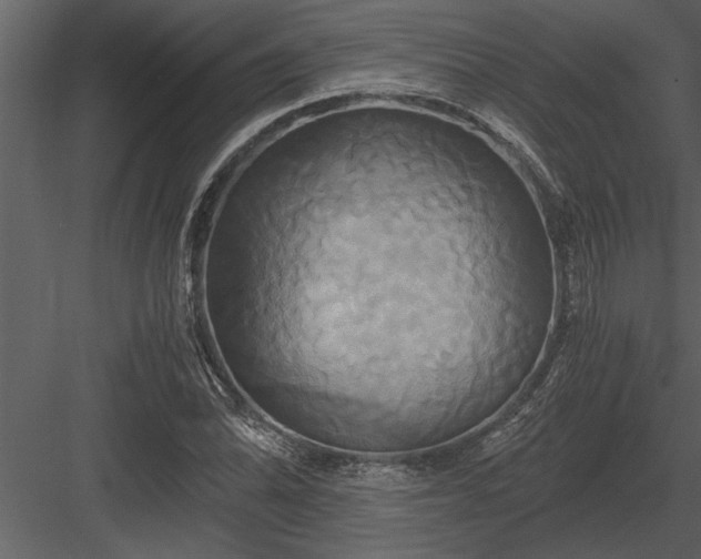 X0000084011070200702232158