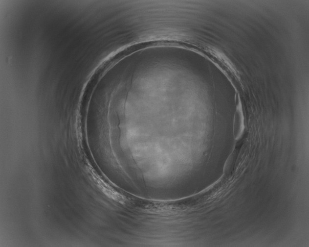 X0000084011072200702232158