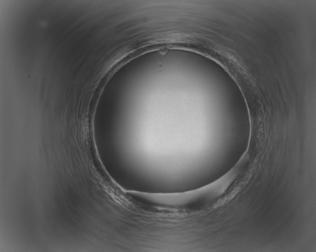 X0000084011073200702232158