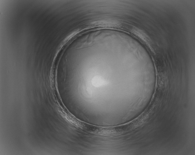 X0000084011074200702232158