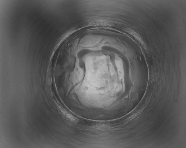 X0000084011075200702232158