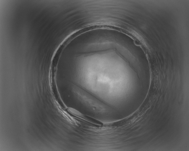 X0000084011076200702232158