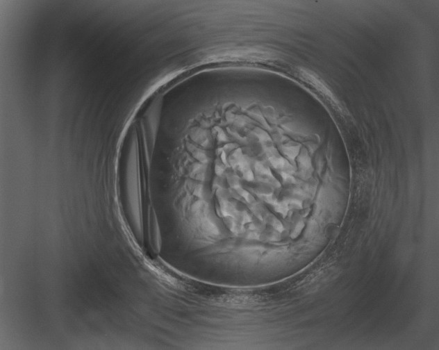 X0000084011079200702232158