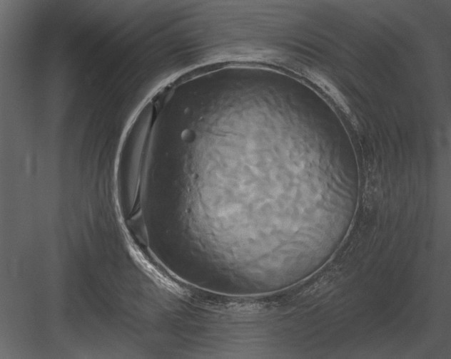 X0000084011080200702232158