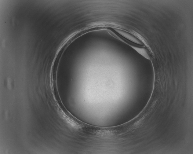 X0000084011082200702232158