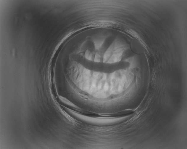 X0000084011083200702232158