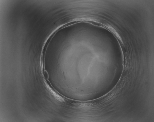 X0000084011084200702232158