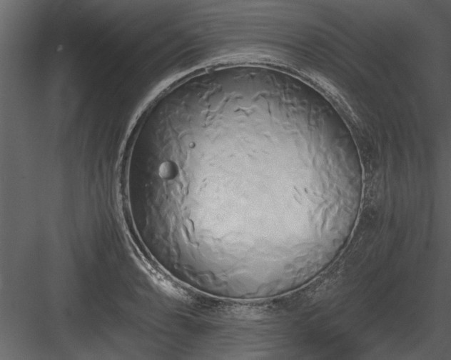 X0000084011086200702232158