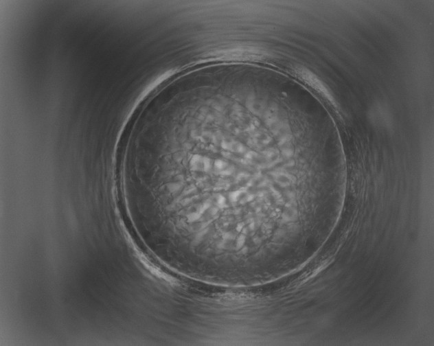 X0000084011087200702232158