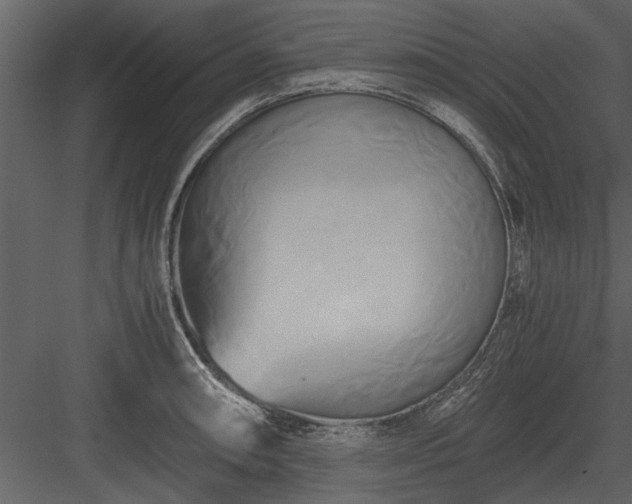 X0000084011090200702232158