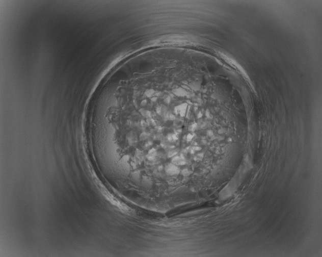 X0000084011091200702232158