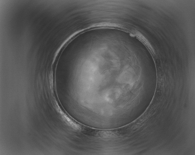 X0000084011092200702232158