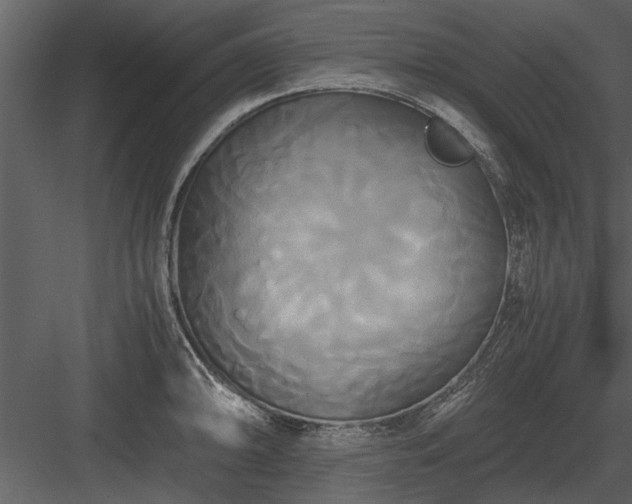 X0000084011094200702232157