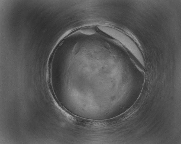 X0000084011095200702232157