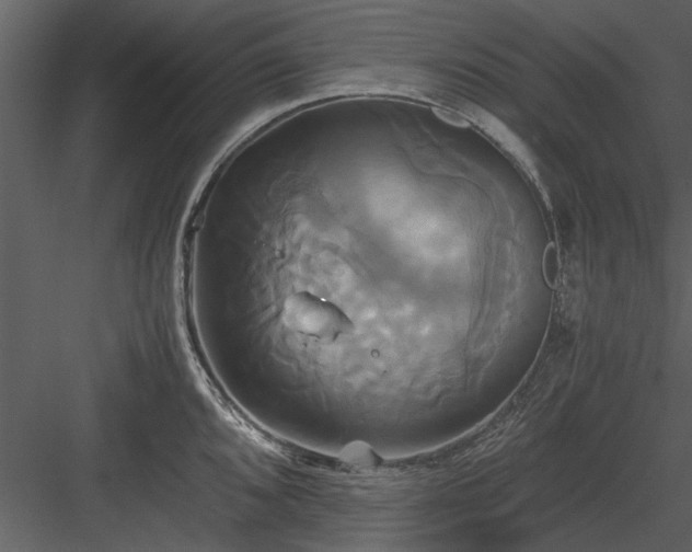 X0000084011096200702232157