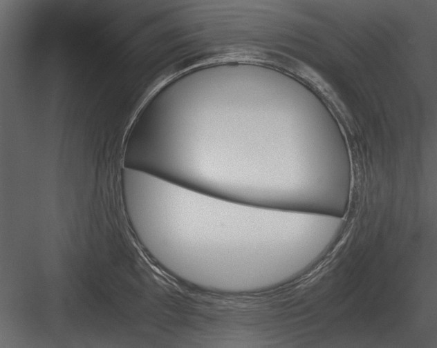 X0000084011097200702232157