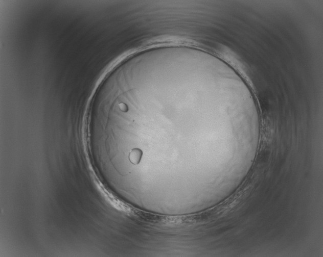 X0000084011098200702232157