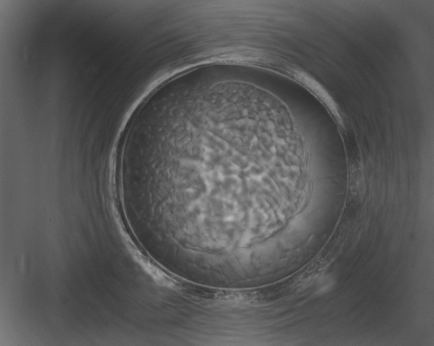 X0000084011099200702232157