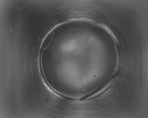 X0000084011100200702232157