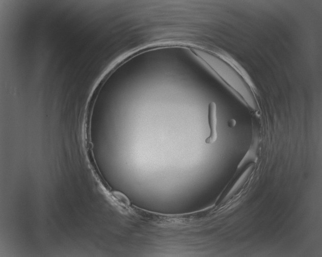 X0000084011101200702232157