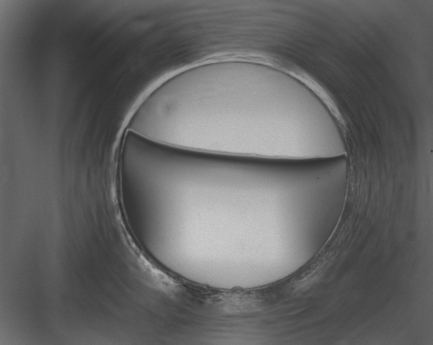 X0000084011102200702232157