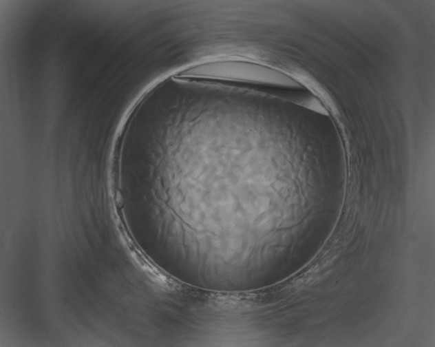 X0000084011104200702232157