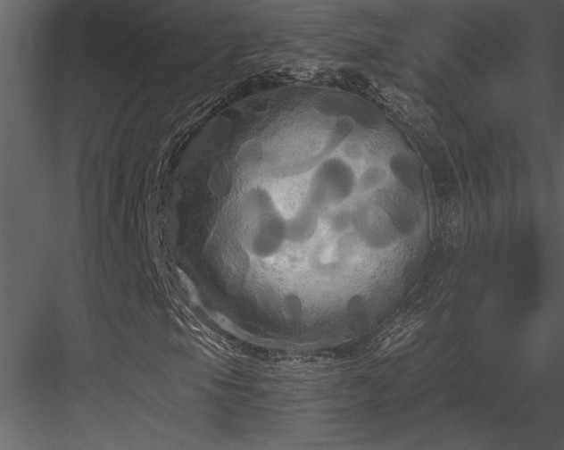 X0000084011105200702232156