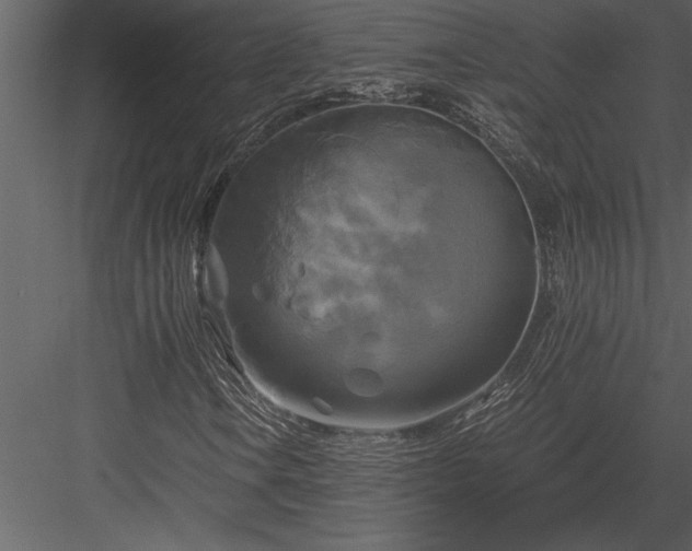 X0000084011106200702232157