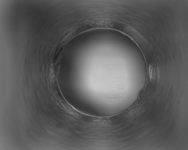 X0000084011107200702232157