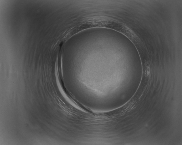 X0000084011108200702232157