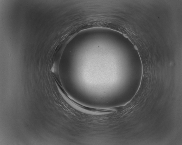 X0000084011109200702232157