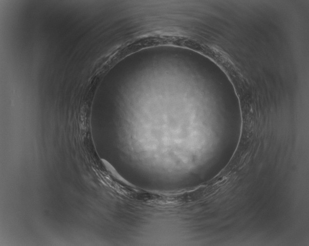 X0000084011110200702232157