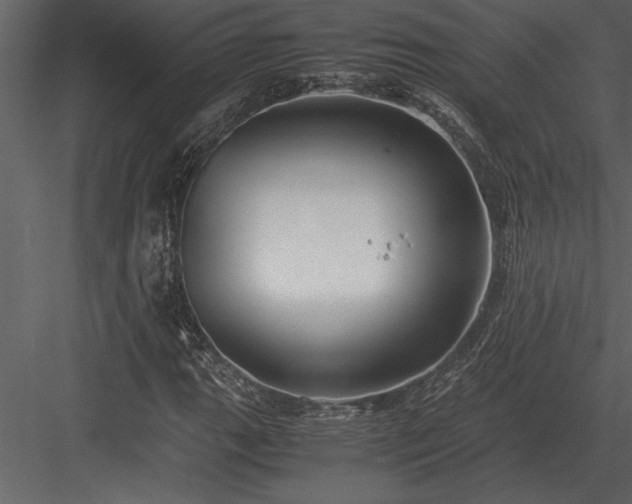 X0000084011111200702232157