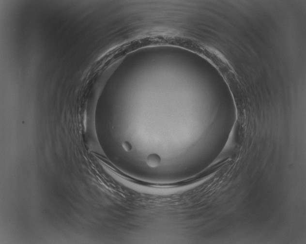 X0000084011112200702232157