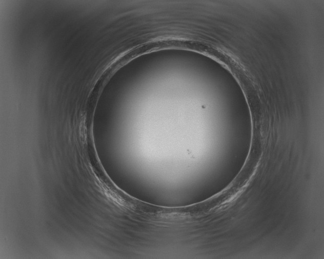 X0000084011113200702232157