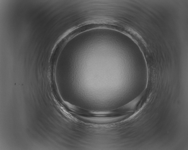 X0000084011114200702232157