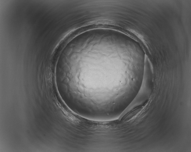 X0000084011115200702232157