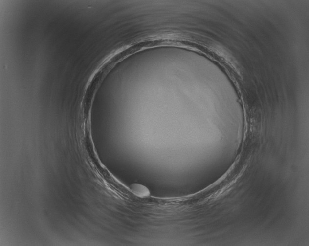 X0000084011117200702232157