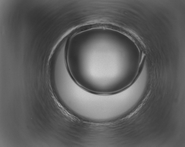 X0000084011118200702232157