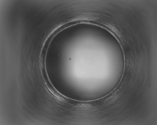 X0000084011119200702232157