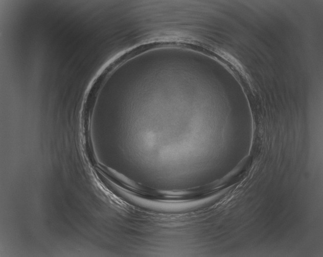 X0000084011120200702232157