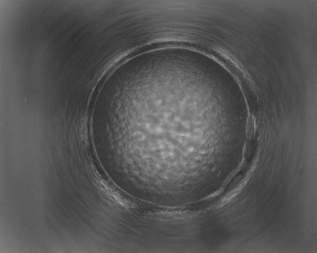 X0000084011121200702232157