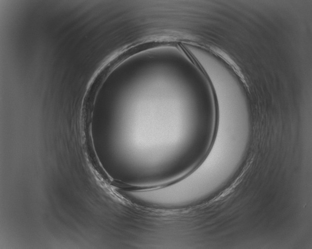 X0000084011122200702232157