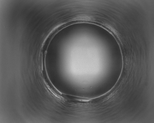 X0000084011123200702232157